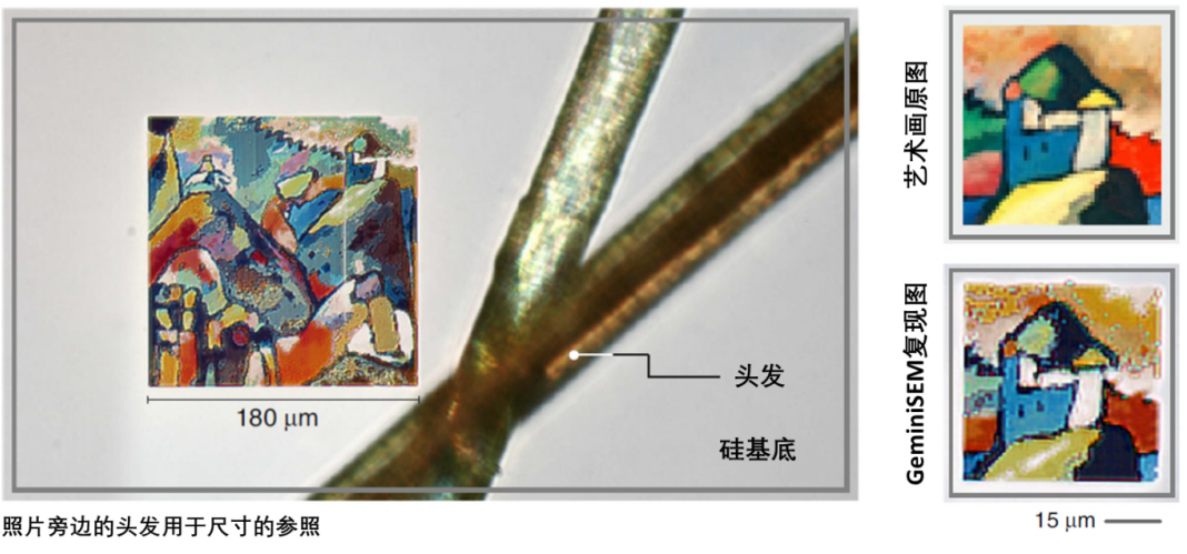 果洛蔡司果洛扫描电镜