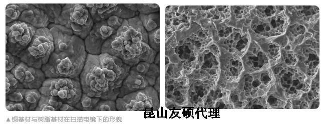 果洛蔡司果洛扫描电镜